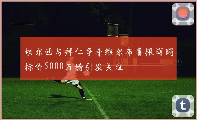 切尔西与拜仁争夺维尔布鲁根海鸥标价5000万镑引发关注